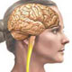 Symptoms of MS