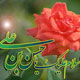 انتظارات امام حسن مجتبی (ع) از شیعیان