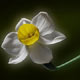توسعه پذیری دین