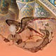از مسأله شناخت تا سنجش خر‌د