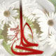 امام علی(ع)؛سالار سکوت و صبوری