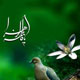 اندیشه سیاسی فاطمه(س)