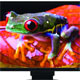 آشنایی با فن آوری صفحه نمایشگر  LCD