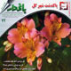 باغدار ـ سال چهارم، شماره ۳۲، مرداد ۱۳۸۸