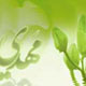 قائم و قیام