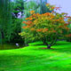 زنان حافظان محیط زیست