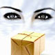 مولفه های پایداری فرهنگ