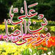 نامگذاری؛ جلوه ای از ارادت ایرانیان به امام رضا(ع)