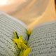 فلسفه متشابهات