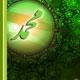 سخنی با پیروان واقعی حضرت مسیح«ع»