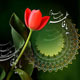 تجلی دوباره رحمت رحمان