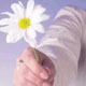آداب معاشرت اجتماعی و شاخصهای آن