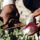 اقتصاد جنگ و تریاک