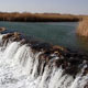 گاوخونی بهشت افسانه ای کویر
