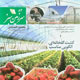 سرزمین سبز ـ سال هفتم، شماره ۸۴، خرداد ۱۳۸۹