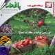 باغدار ـ سال چهارم، شماره ۳۰، اردیبهشت ۱۳۸۸