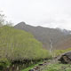 افجه؛ روستایی تاریخی در شمیران