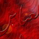 سالک نینوا