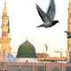 برادر و یار مرا پیش من آرید