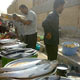 حلزون توسعه