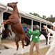 Secretariat