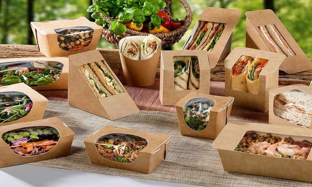 بهترین بسته بندی غذای بیرون بر